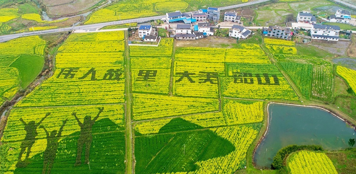 韶山市宏發農林生態科技發展有限公司(圖1)